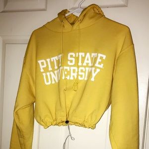 Champion Sweaters - Champion Pitt State drawstring cropped hoodie Champion Sweaters - Champion Pitt State drawstring cropped hoodie